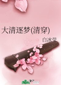 大清逐梦(清穿)