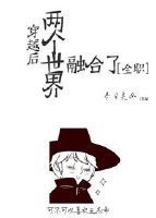 [全職]穿越後兩個世界融合了